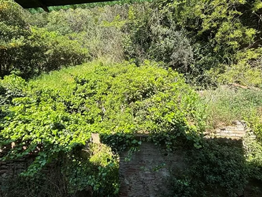 Immagine 40 di Casa colonica in vendita  a Vicopisano