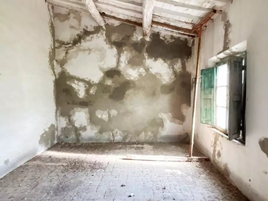 Immagine 34 di Casa colonica in vendita  a Vicopisano