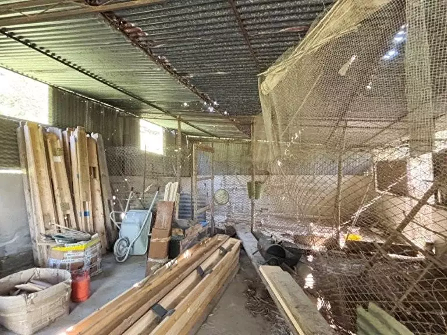 Immagine 25 di Casa colonica in vendita  a Vicopisano