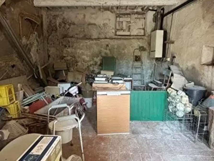 Immagine 21 di Casa colonica in vendita  a Vicopisano