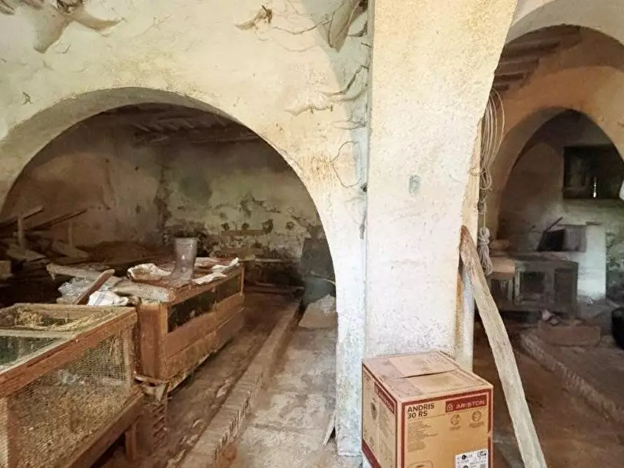 Immagine 27 di Casa colonica in vendita  a Vicopisano