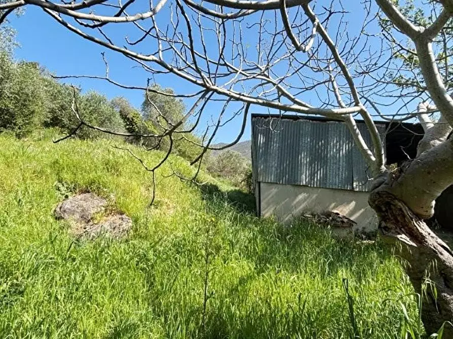 Immagine 39 di Casa colonica in vendita  a Vicopisano