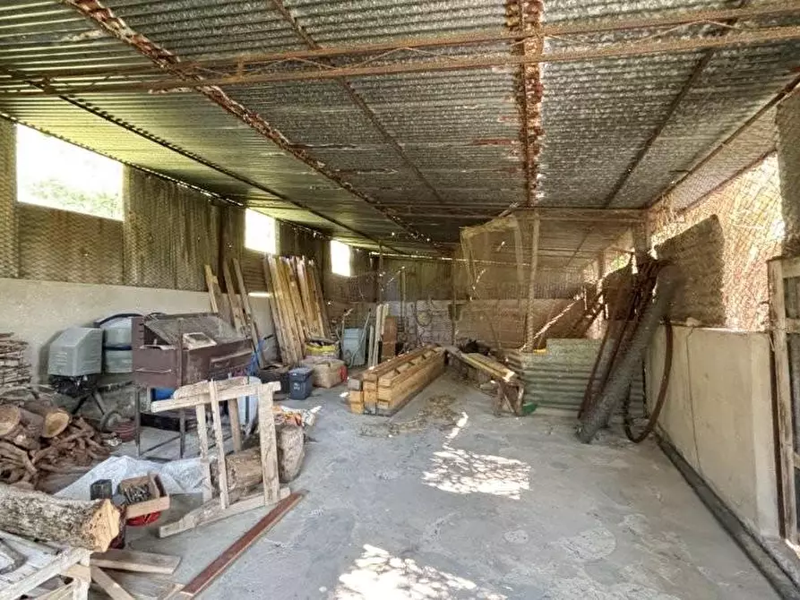 Immagine 24 di Casa colonica in vendita  a Vicopisano