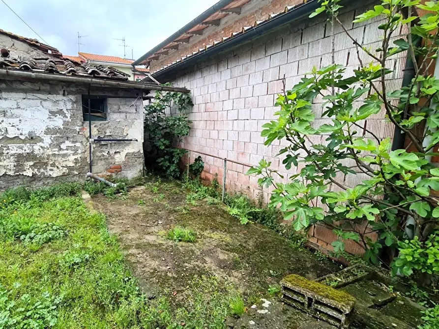 Immagine 2 di Terratetto in vendita  a San Miniato