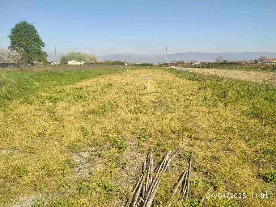 Immagine 3 di Terratetto in vendita  a Ponte Buggianese