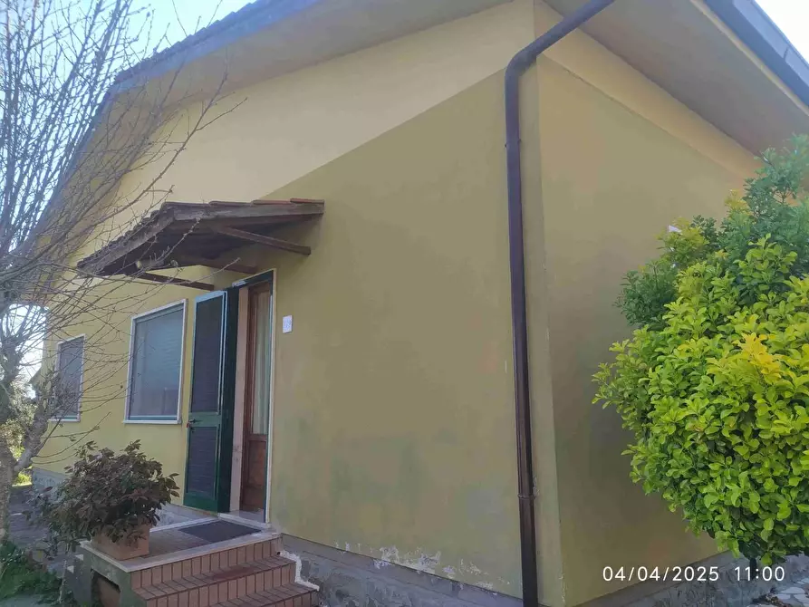 Immagine 5 di Villa in vendita  a Ponte Buggianese