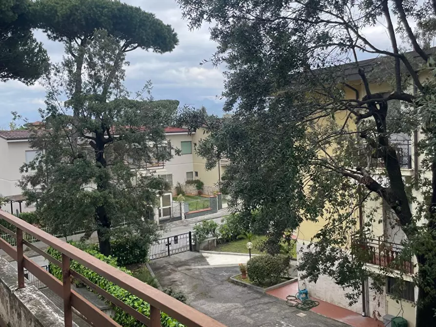 Immagine 5 di Appartamento in vendita  a Camaiore