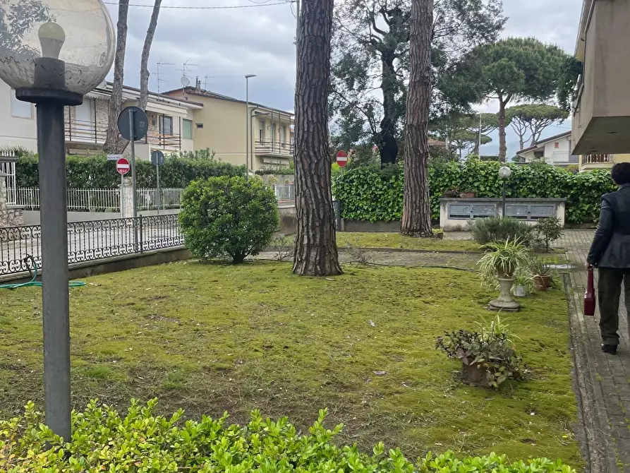 Immagine 10 di Appartamento in vendita  a Camaiore