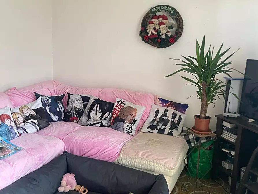 Immagine 3 di Appartamento in vendita  a Camaiore