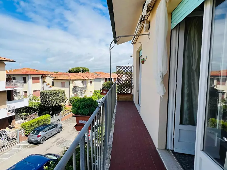 Immagine 5 di Appartamento in vendita  a Cecina