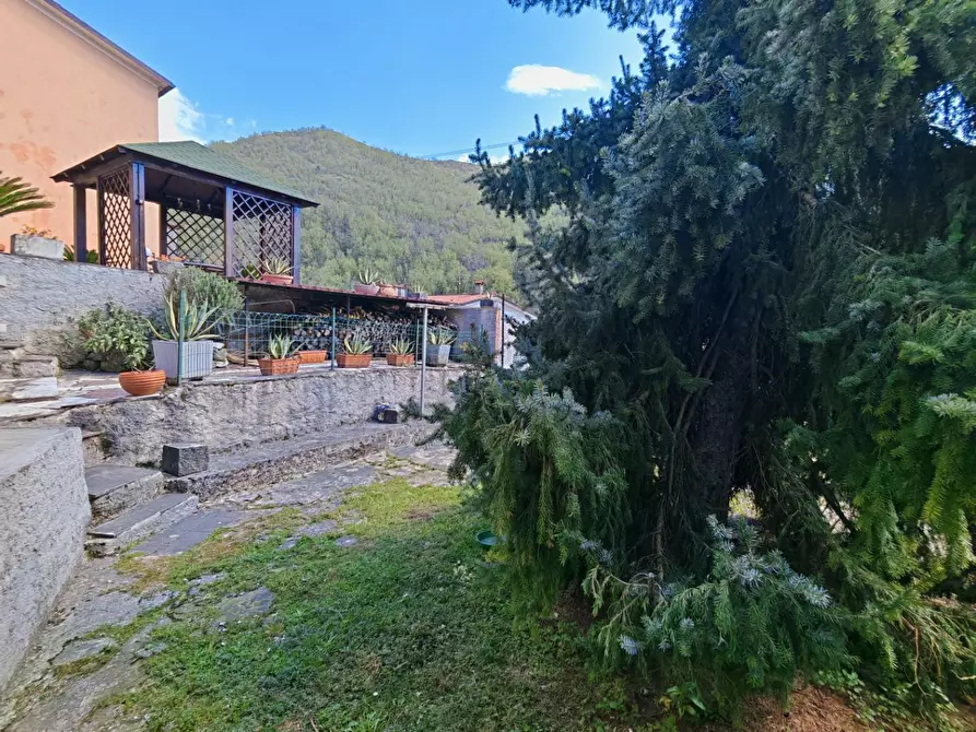 Immagine 10 di Casa semindipendente in vendita  a Carrara