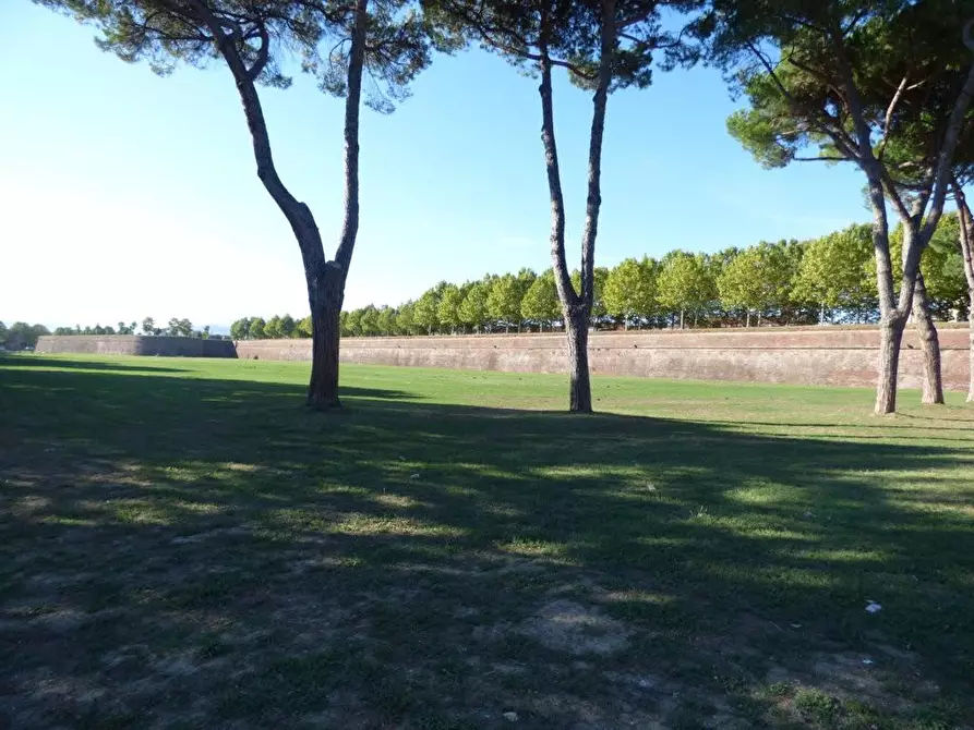 Immagine 9 di Bar / Ristorante in vendita  a Lucca