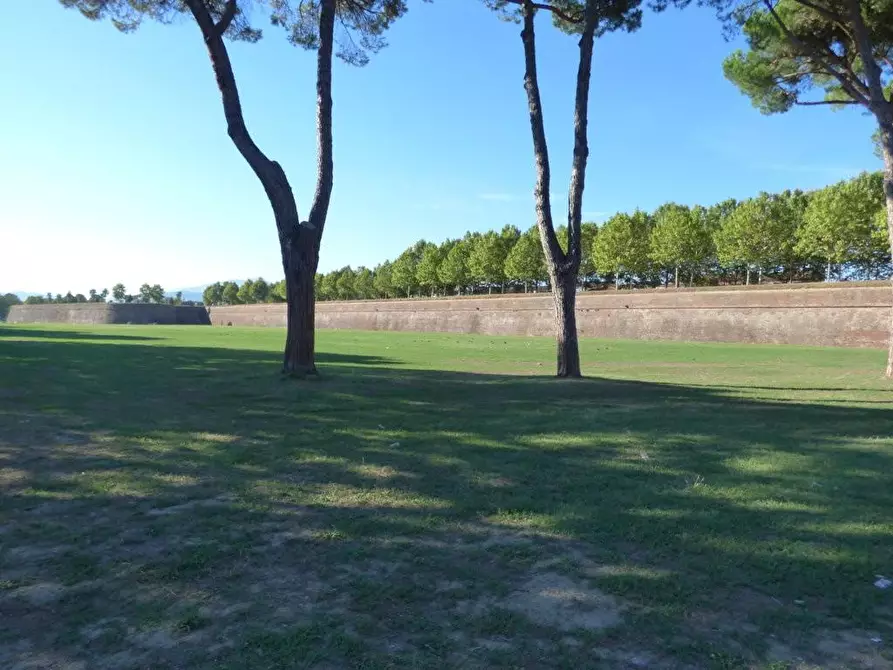 Immagine 8 di Bar / Ristorante in vendita  a Lucca