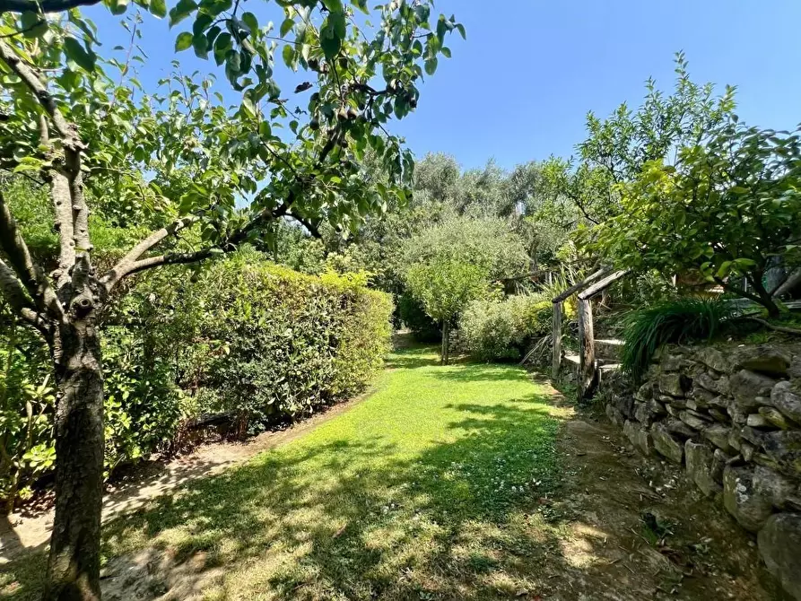 Immagine 6 di Villetta a schiera in vendita  a Calci