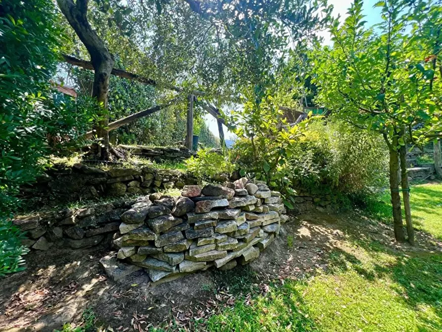 Immagine 5 di Villetta a schiera in vendita  a Calci