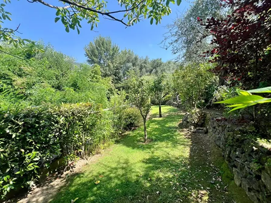 Immagine 8 di Villetta a schiera in vendita  a Calci