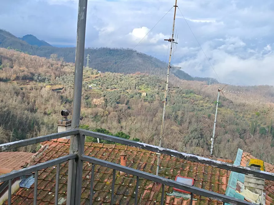 Immagine 48 di Terratetto in vendita  a Fosdinovo