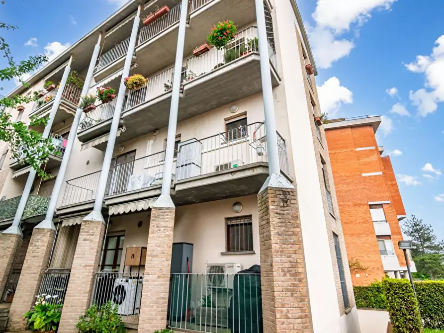 Immagine 30 di Appartamento in vendita  a Pisa