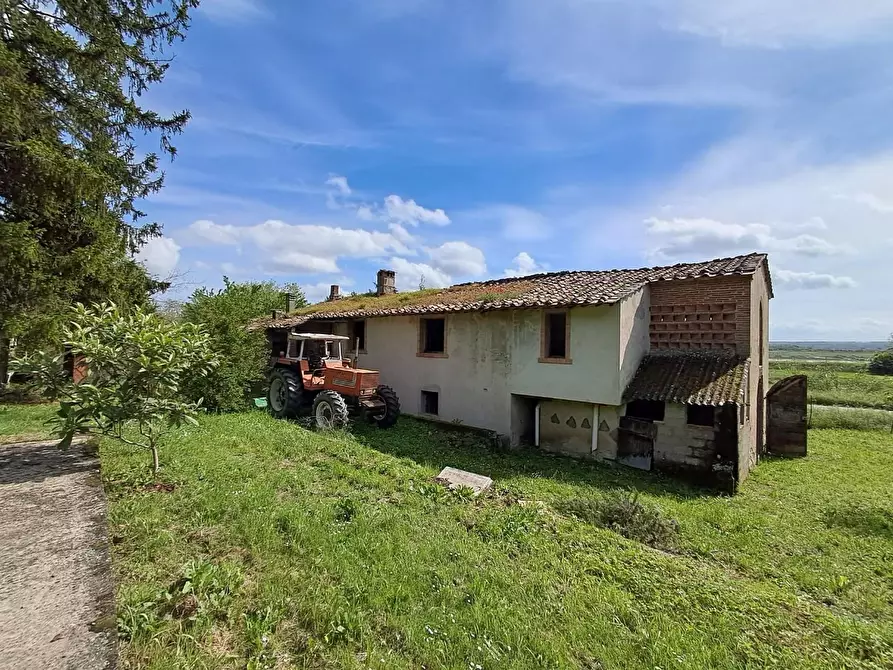 Immagine 1 di Rustico / casale in vendita  a Buti