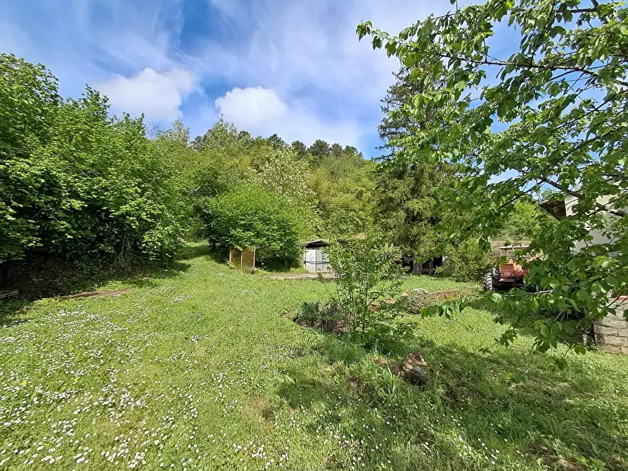 Immagine 10 di Rustico / casale in vendita  a Buti