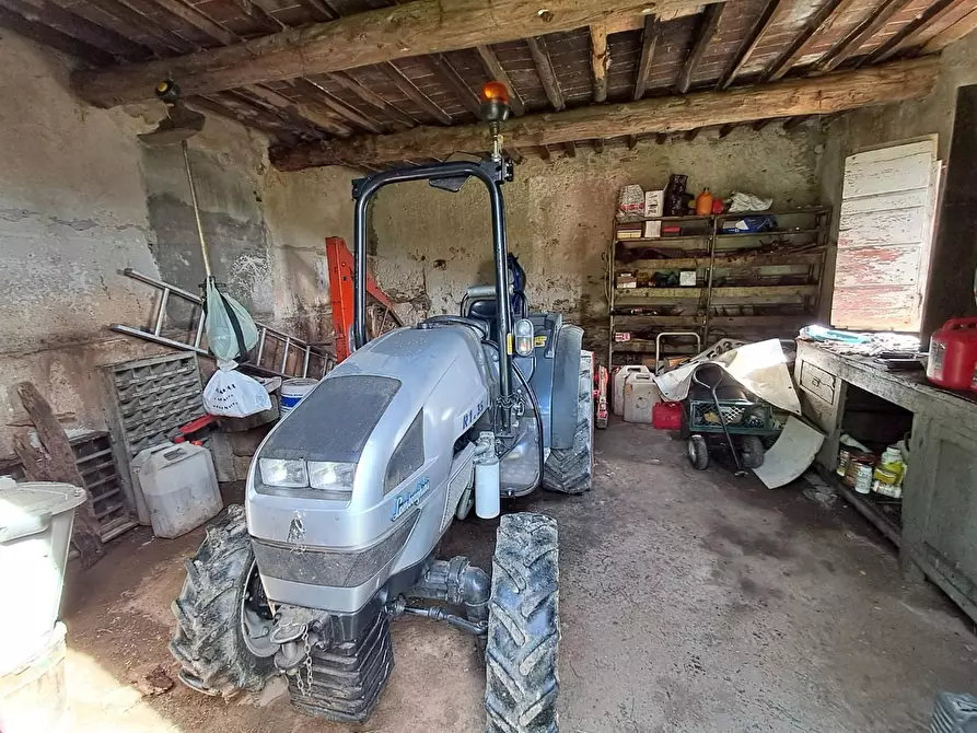 Immagine 7 di Rustico / casale in vendita  a Buti