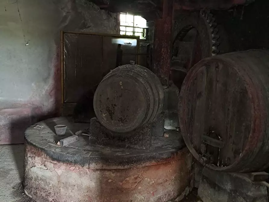 Immagine 9 di Rustico / casale in vendita  a Buti