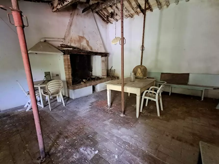 Immagine 3 di Rustico / casale in vendita  a Buti