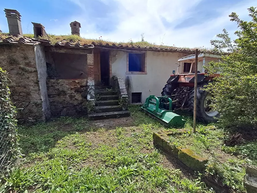 Immagine 2 di Rustico / casale in vendita  a Buti