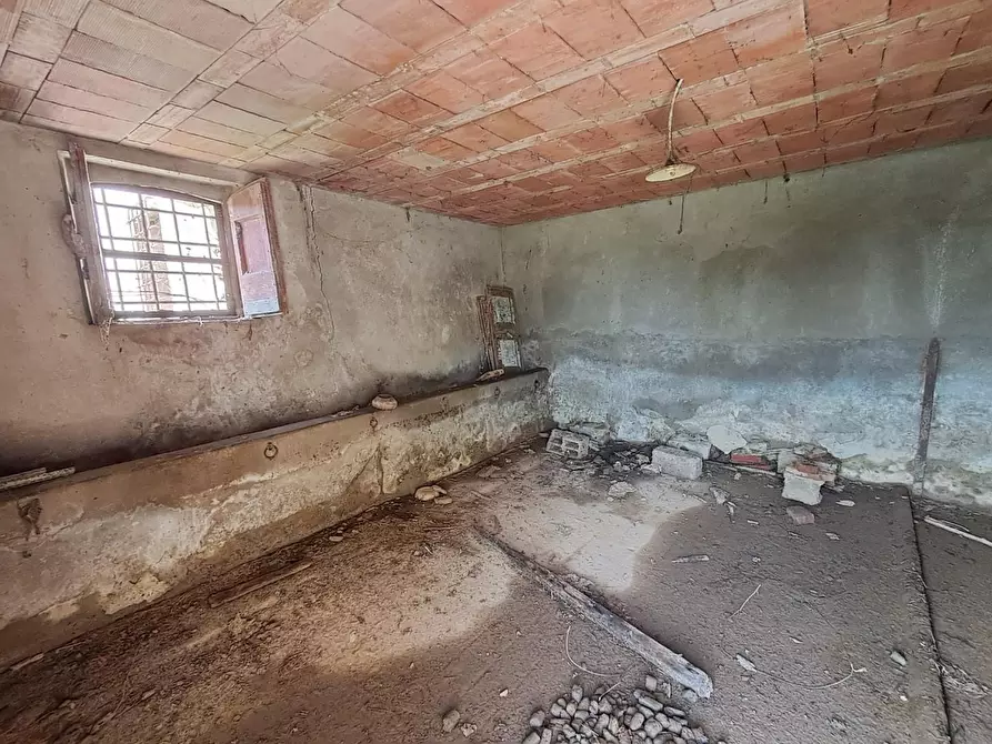 Immagine 6 di Rustico / casale in vendita  a Buti