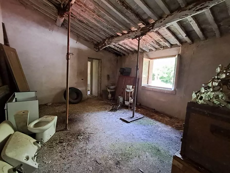 Immagine 4 di Rustico / casale in vendita  a Buti