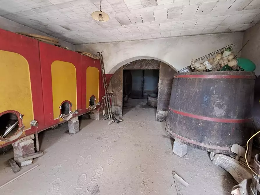 Immagine 8 di Rustico / casale in vendita  a Buti