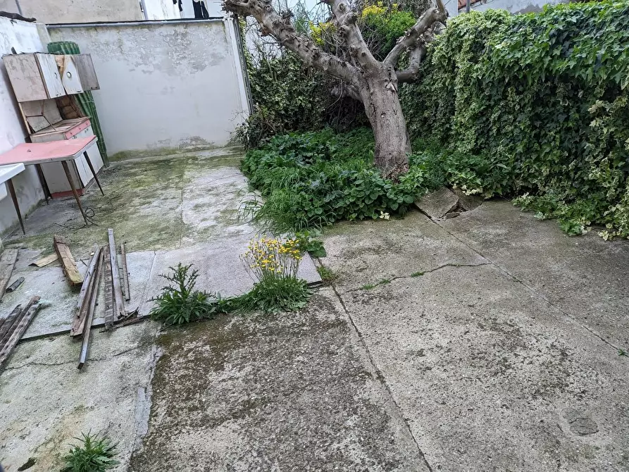 Immagine 10 di Appartamento in vendita  a Pontedera