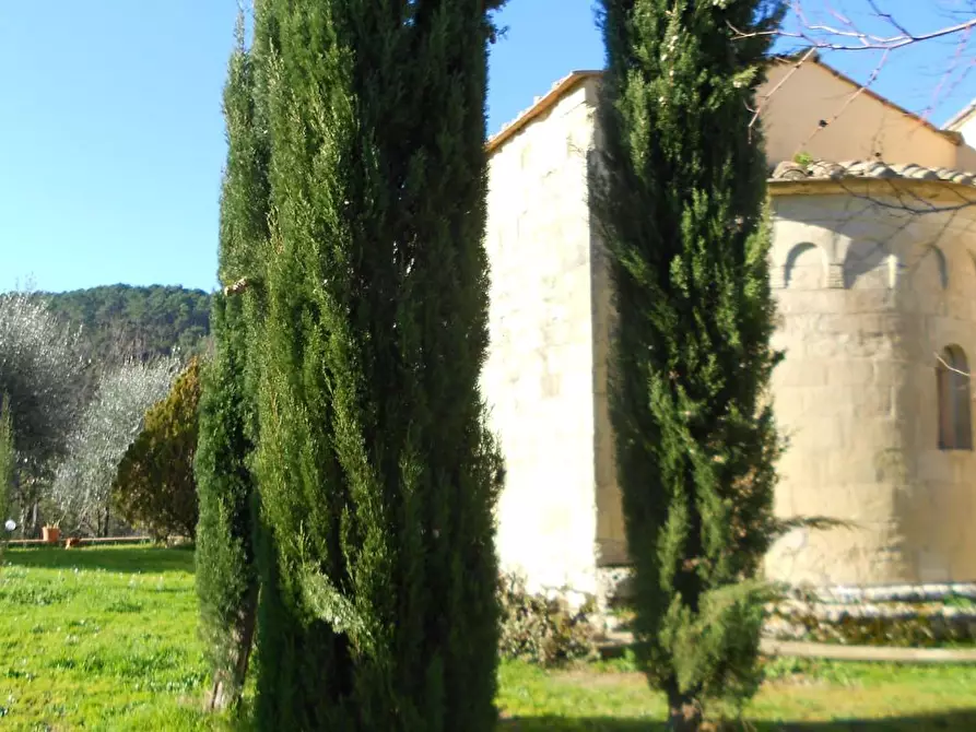 Immagine 10 di Casa colonica in vendita  a Casciana Terme Lari