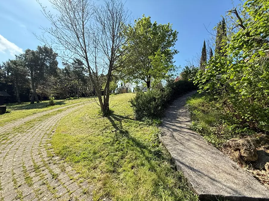 Immagine 22 di Casa colonica in vendita  a Casciana Terme Lari