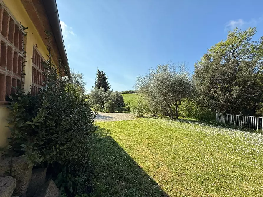 Immagine 50 di Casa colonica in vendita  a Casciana Terme Lari