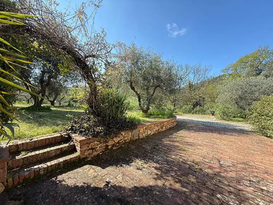 Immagine 20 di Casa colonica in vendita  a Casciana Terme Lari
