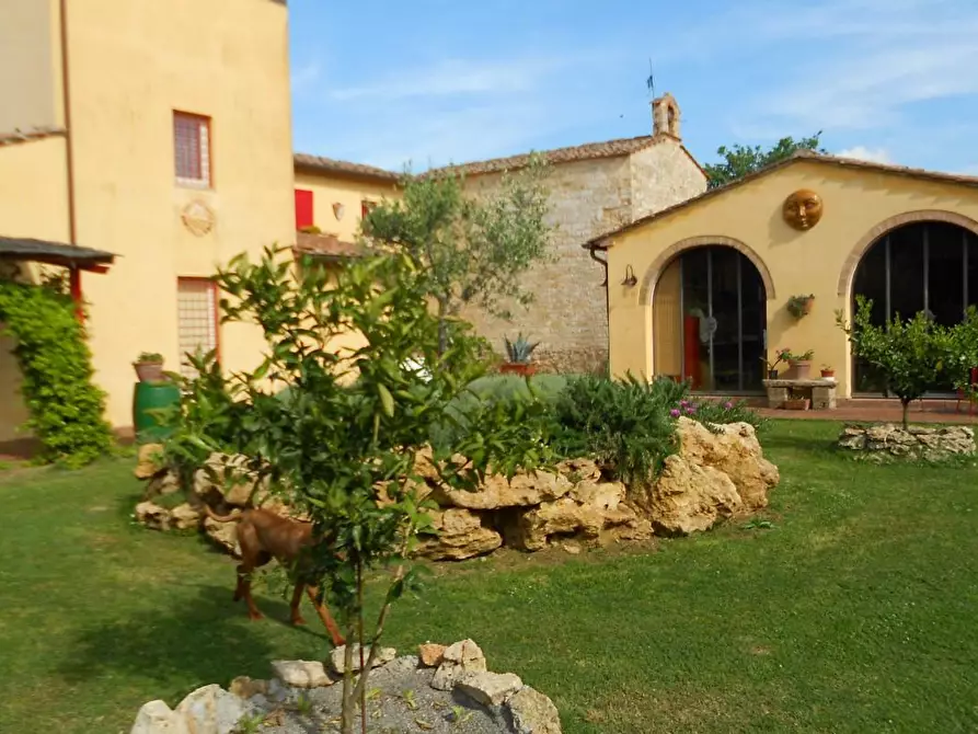Immagine 2 di Casa colonica in vendita  a Casciana Terme Lari