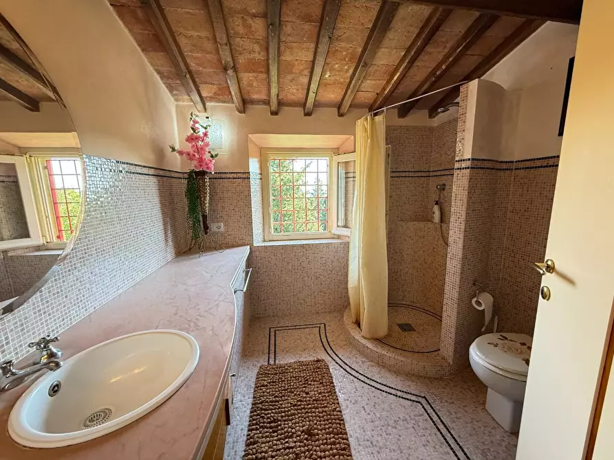 Immagine 44 di Casa colonica in vendita  a Casciana Terme Lari