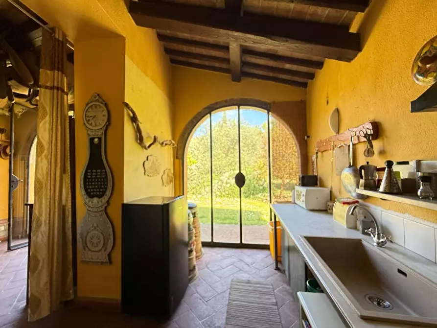 Immagine 47 di Casa colonica in vendita  a Casciana Terme Lari