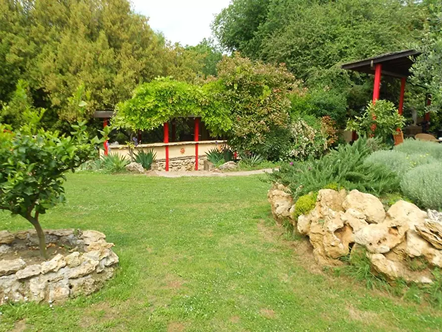 Immagine 11 di Casa colonica in vendita  a Casciana Terme Lari