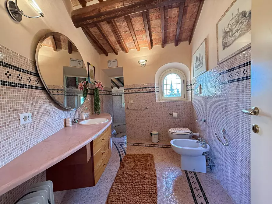 Immagine 38 di Casa colonica in vendita  a Casciana Terme Lari