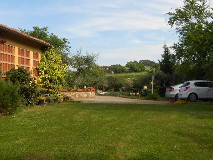 Immagine 5 di Casa colonica in vendita  a Casciana Terme Lari