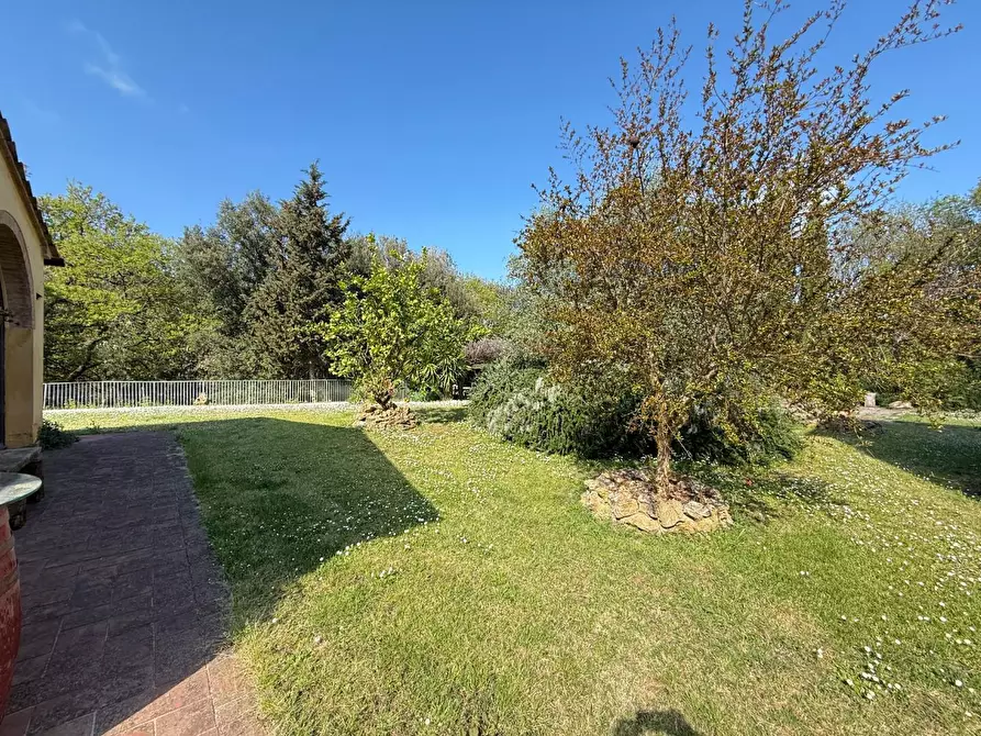Immagine 33 di Casa colonica in vendita  a Casciana Terme Lari