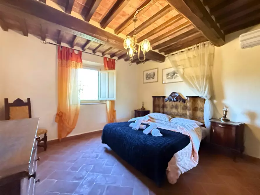 Immagine 40 di Casa colonica in vendita  a Casciana Terme Lari