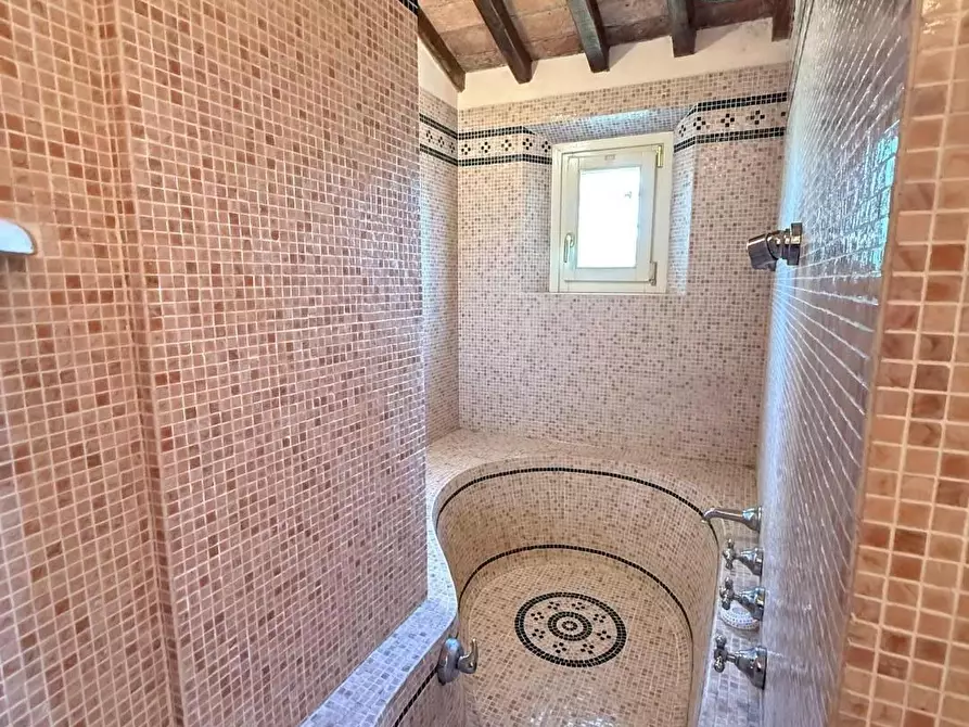 Immagine 35 di Casa colonica in vendita  a Casciana Terme Lari
