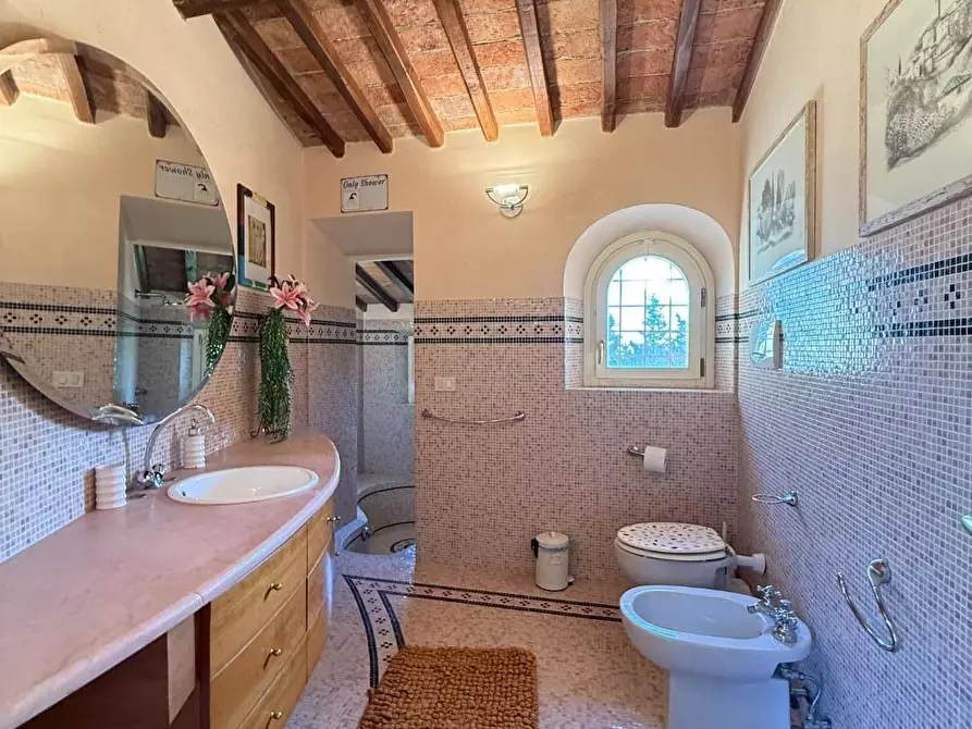 Immagine 34 di Casa colonica in vendita  a Casciana Terme Lari