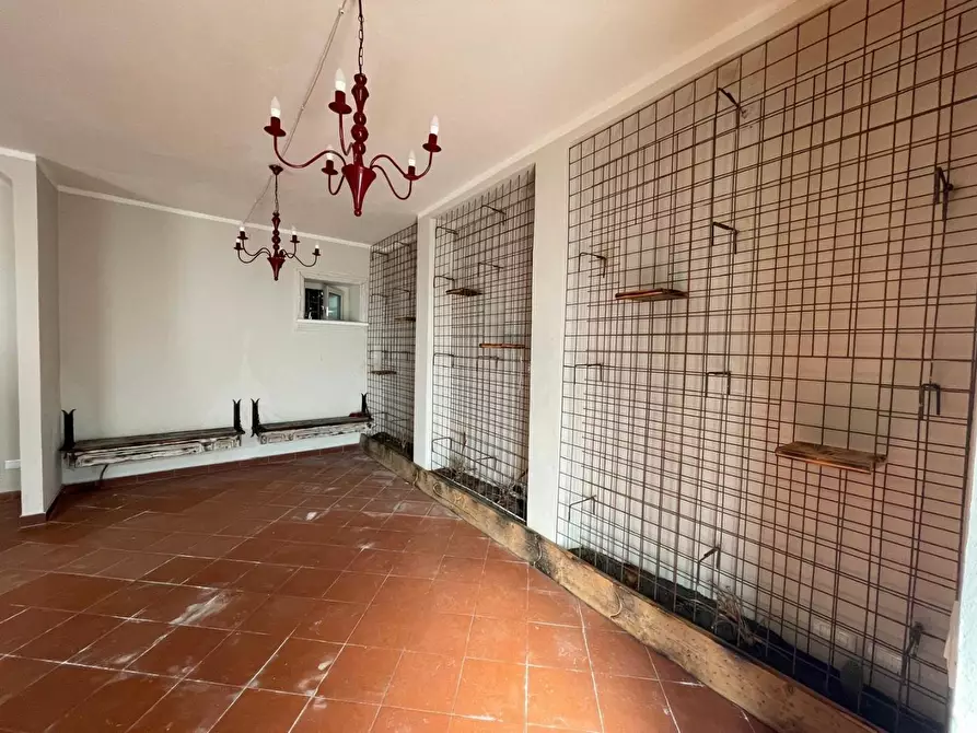 Immagine 4 di Locale commerciale in vendita  a Massa