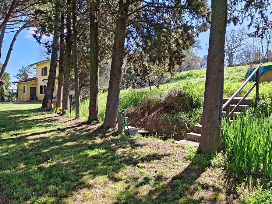 Immagine 7 di Casa indipendente in vendita  a San Miniato