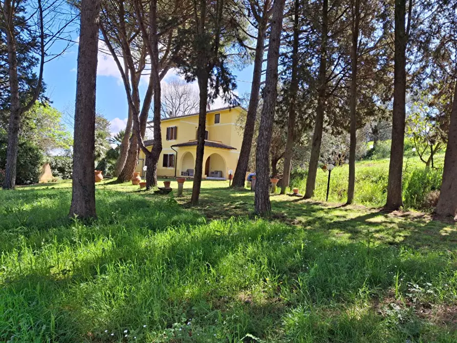 Immagine 8 di Casa indipendente in vendita  a San Miniato