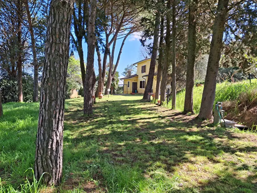 Immagine 6 di Casa indipendente in vendita  a San Miniato